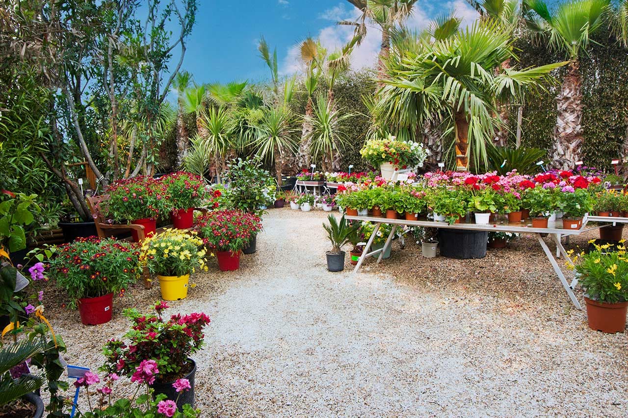 image jardinerie