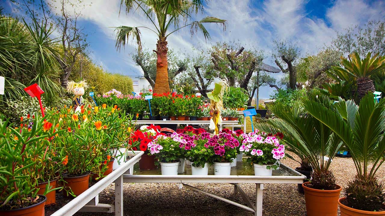 image jardinerie