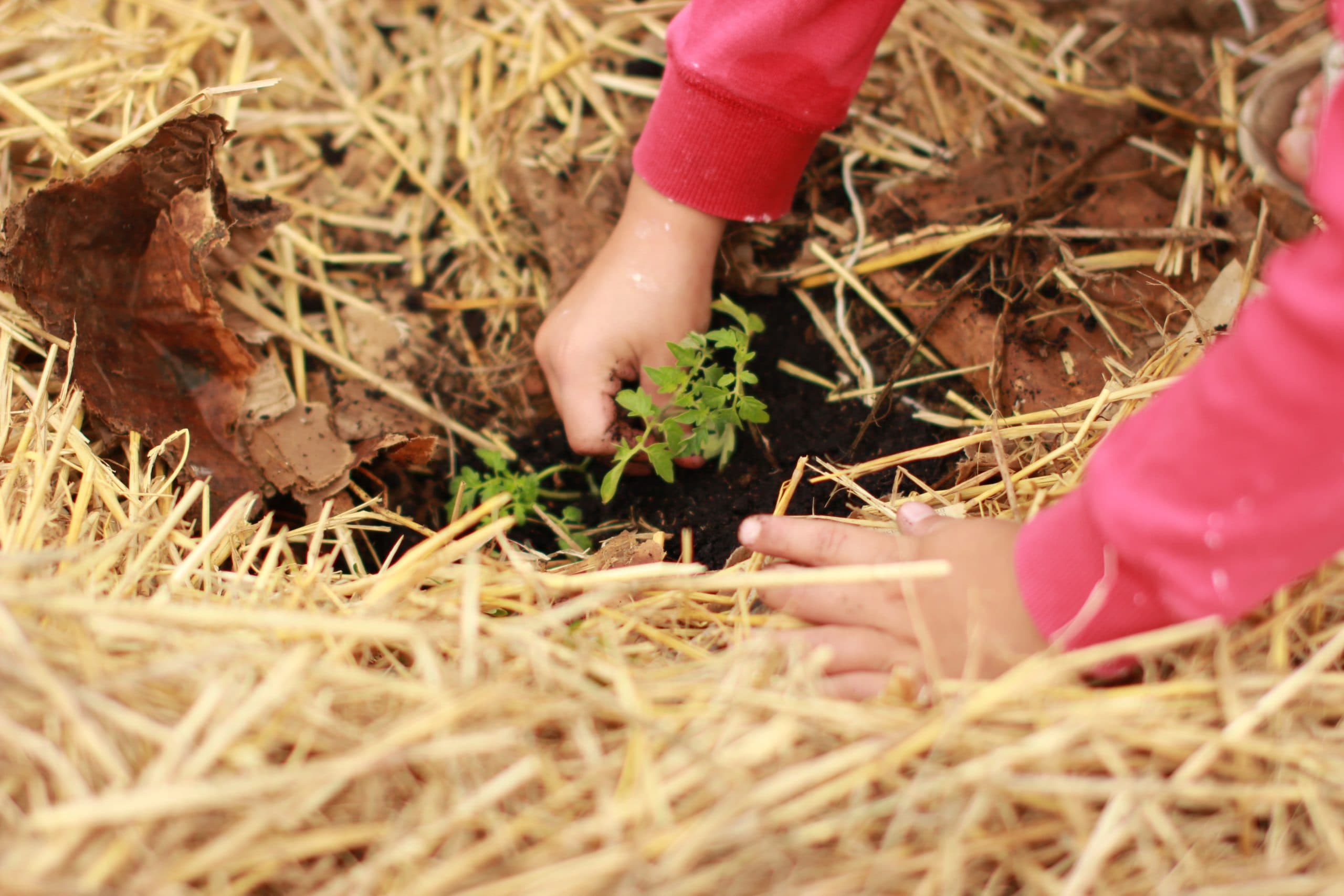 hands while gardening