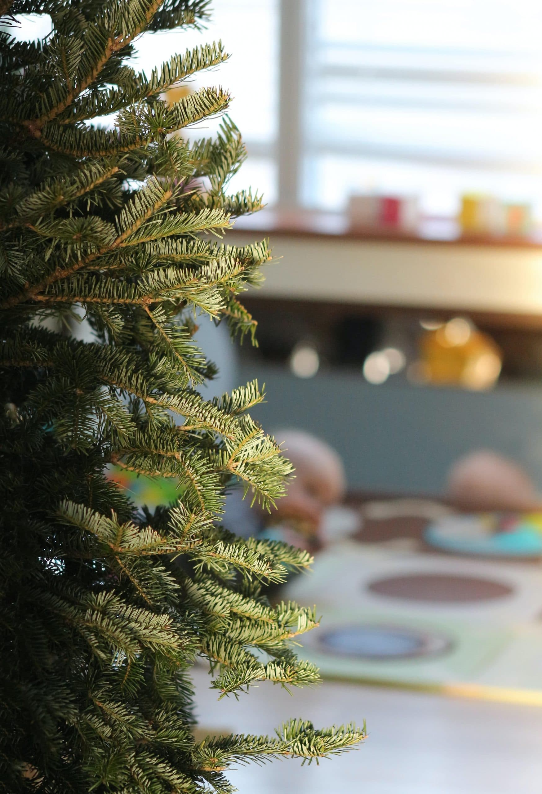 Sapin Nordmann